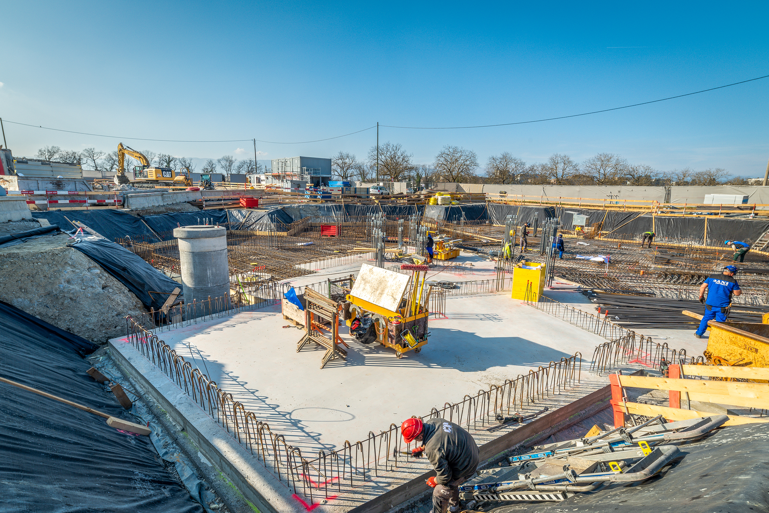 6 mars 2023 – Messicoles © Simon Chamay / SC-PHOTO