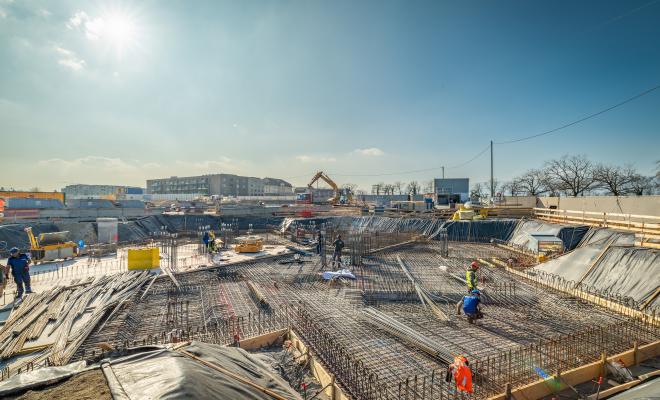 6 mars 2023 – Messicoles © Simon Chamay / SC-PHOTO